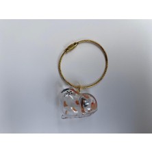 Özbience Şeffaf Kedi Tüyü Saklama Kutusu ve Çantası, Anahtarlık, Dayanıklı