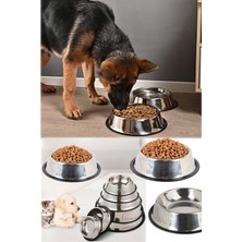 Özbience Yıkanabilir Paslanmaz Çiftli Mama ve Su Kabı, 22 Cm, Evcil Hayvanlar Için