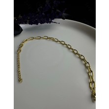 Özbience Şık Gold Çelik Kedi Tasması ve Aksesuarı, Paperclip Zincir Detaylı