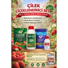 Turkozagro Çilek Besleme Seti - Amino Asit, Çinko, Potasyum - Çiçek Teşviki (Silikon Hediyeli)