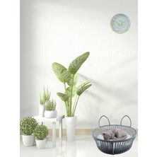 Özbience Şeffaf Cam Yatak ve Askılı Vantuzlu Kedi Yatağı Seti