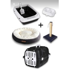 Özbience Sevimli Kedi Seti, Eğlenceli ve Konforlu Oyun ve Dinlenme Alanı