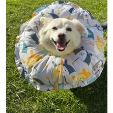 Özbience Çift Taraflı Boyunluk ve Yastık Seti, 45 cm Dış Kenar, %100 Güvenli