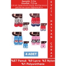 Özbience Sevimli Evcil Hayvan Çorap Seti, Kaydırmaz ve Sıcak Tutucu, 4'lü