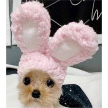 Özbience Eğlenceli ve Sevimli Evcil Hayvan Kostümleri, Çeşitli Tasarımlar!