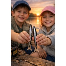 Seymen Bıçakçılık 2’li Hamsi Kalem – Balık Figürlü Özgün Tasarım Tekli Kalem