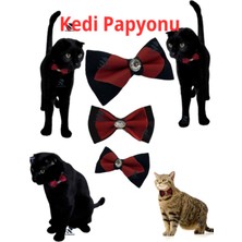 Özbience Şık ve Rahat Kedi Papyonu ve Tasması Seti, Gün Boyu Konfor