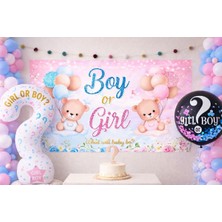 Ayıcıklı Gender Reveal Parti Seti – Boy Or Girl Sürpriz Cinsiyet Konsepti Seti Süsü