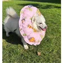 Özbience Kedi Köpek Huni ve Boyunluk Seti, Yumuşak ve Rahat Koruma, Xl Çap