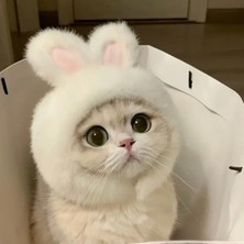 Özbience Sevimli Tavşan Kulaklı Kedi Şapkası, Paskalya Temalı Evcil Hayvan Kostümü