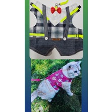 Özbience Küçük Irk Köpek ve Kedi Gezdirme Elbisesi, Hafif ve Konforlu Tasarım