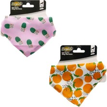 Özbience Sevimli ve Renkli Köpekler ve Kediler Için Şık Fular Bandana