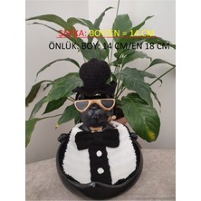 Özbience El Işçiliği Sık Örgü Fötr Şapka ve Papyonlu Kedi Takımı