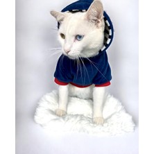 Özbience Şık ve Rahat Büyük Boy Kedi Sweatshirt, 3-4,5 kg Için Ideal