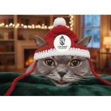 Özbience El Örgüsü Kedi Şapkası, Sevimli ve Şık Tasarım, Rahat Kullanım