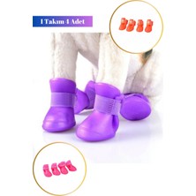 Özbience 4'lü Silikon Ayyakabı Seti, Konforlu ve Şık Pet Ayak Koruyucuları