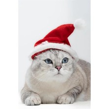 Özbience Yılbaşı Temalı Esnek Kedi Şapkası, Eğlenceli ve Şık Tasarım