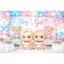 Ayıcıklı Bebek Figürlü Gender Reveal Parti Seti – Boy Or Girl Konsepti