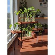 Lider Tunç Tuniva Niva Modern Basamaklı Saksılık Dekoratif Çiçeklik ve Balkon Stand