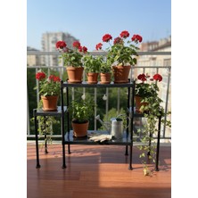 Lider Tunç Tuniva Niva Modern Basamaklı Saksılık Dekoratif Çiçeklik ve Balkon Stand