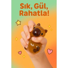 Seymen Bıçakçılık Capybara Go Jel Stres Oyuncak – Kokulu, Esnek, Sıkılabilir Antistres Kapibara (1’li Set)