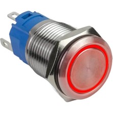 Voltaj E1 19MM Metal Buton Kalıcılı 12-24V Kırmızı LED Işıklı 1no/1nc