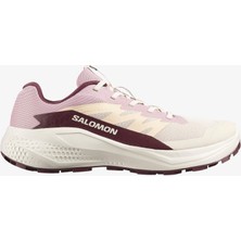 Salomon ALPHAGLIDE Kadın Koşu Ayakkabısı Tapioca L49092800