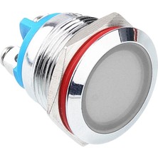 Voltaj WD19L-P0 19MM 12-24V Metal Sinyal Lambası - Beyaz