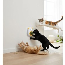 Petdost Panda Model Catnip Yalama Topu Kedi Otu Kedi Oyuncağı