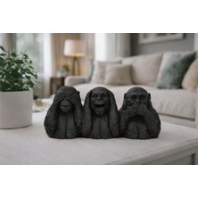 3D Boyuthane - Üç Bilge Maymun