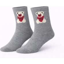 İpeksi Teddy Ayıcık Desen Organik Pamuk Penye Tenis Kolej Çorap