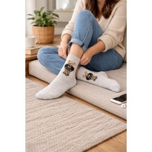 İpeksi Teddy Ayıcık Desen Organik Pamuk Penye Tenis Kolej Çorap