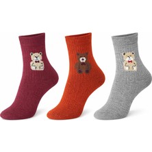 İpeksi 3 Çift Teddy Ayıcık Desenli Organik Pamuk Penye Tenis Kolej Çorap