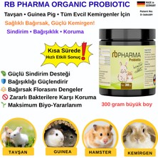 Kemirgen Probiyotiği Güçlü Içerik 300 gr Büyükambalaj