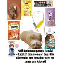 Petdost Gurme Kedi Keyif ve Aktivite Seti – Mutluluk Garantili 🐾