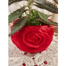 Saf Hobi El Yapımı Epoksi Tasarım | Sevgiyle Hazırlanmış Hobi Ürünü | Benzersiz ve Özgün