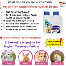 Sıvı Multivitamin Tavşan , Hamster Vb. Kemirgen Için (Tüm Yaş Gruplarında Hızlı Sonuç ) Parlak Tüy ve Gelişim 125 ml
