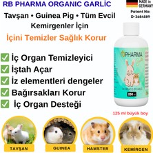 RB Pharma Kemirgenlere Özel Doğal Bağışıklık Içini Temizler Korur Iştah Açıcı Vitamin 250 ml
