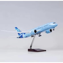 Veronese Manchester City Etihad Boeing 787 Yolcu Uçağı Koleksiyon Uçak 43CM