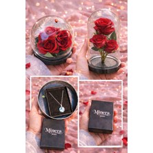 Fırtına Armağan Fanus Içinde 3 Güllü Sürpriz Takı Çelik Dünya Kolye