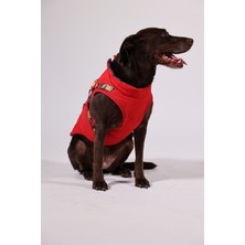 Pawlook Design Göğüs Tasmalı Köpek Montu