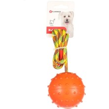 Flamingo Rula Ipli Lastik Top / Zil Sesli