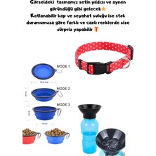 Petdost 🐾 3'lü Pratik Gezinti Seti  Desenli Tasma (M) + Katlanabilir Kap + Seyahat Suluğu