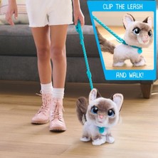 Savarga FUR00000 Wag-A-Lots