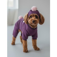 Kemique Purple Ponpon Pony Köpek Tulumu & Bere Takımı | Şardonlu Polar Kumaş | Küçük Irk Köpekler Için | Tüy Dökülmesini Azaltır