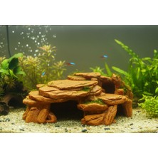 Kanem3D Akvaryum Petra Saklanma Alanı