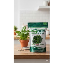 Poygen Matador Ispanak Tohumu - 1 kg (Yüksek Verimli & Etli Yaprak)