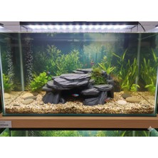 Kanem3D Taş Desenli Akvaryum Mağarası