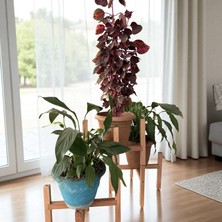 Üçlü Ahşap Saksı Standı Çiçek ve Saksı Altlığı 3 Adet Raf Çiçeklik Stant