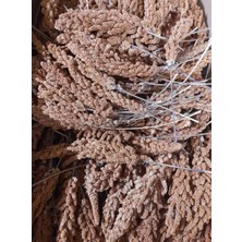 Hk Tilki Kuyruğu Kızıl Dal Darı Kuş Yemi 1 kg